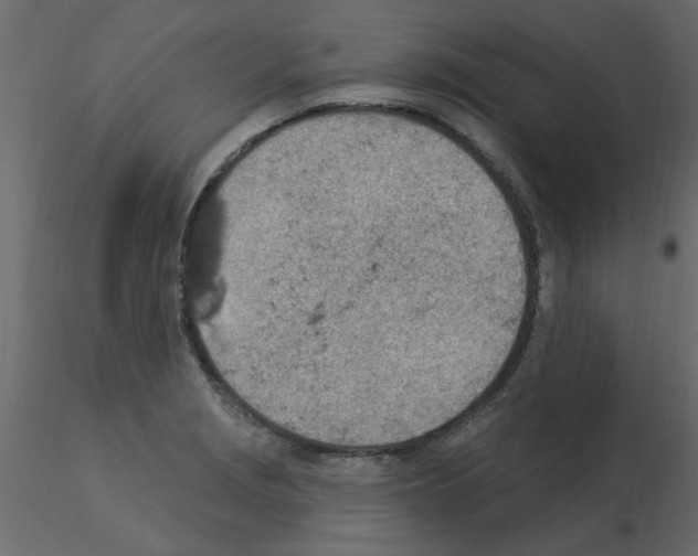 X0000115851229200912242031