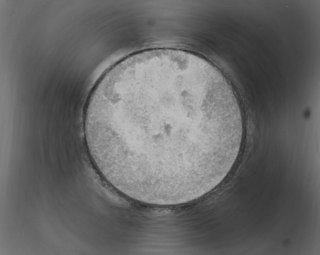 X0000115851230200912242031