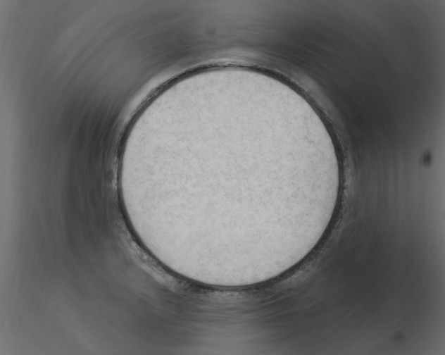 X0000115851232200912242031