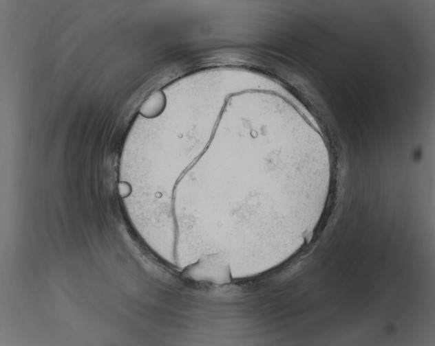 X0000115851233200912242031