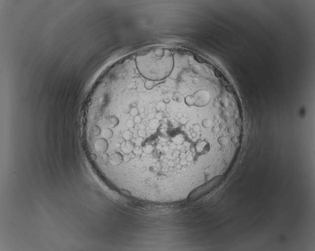 X0000115851235200912242031