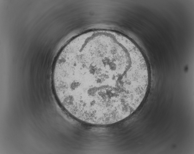 X0000115851237200912242031