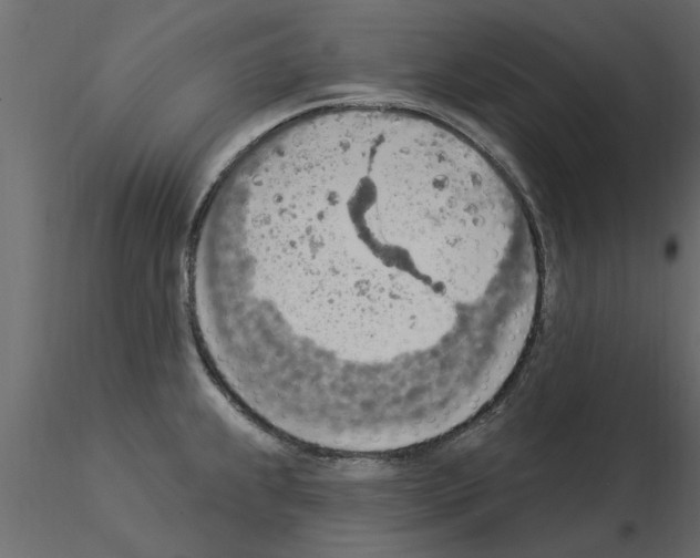 X0000115851239200912242031
