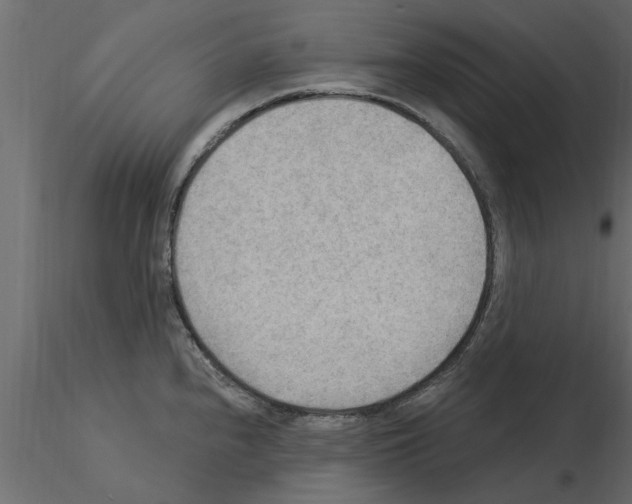 X0000115851240200912242031