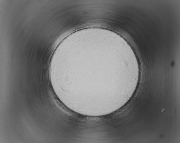 X0000115851242200912242031