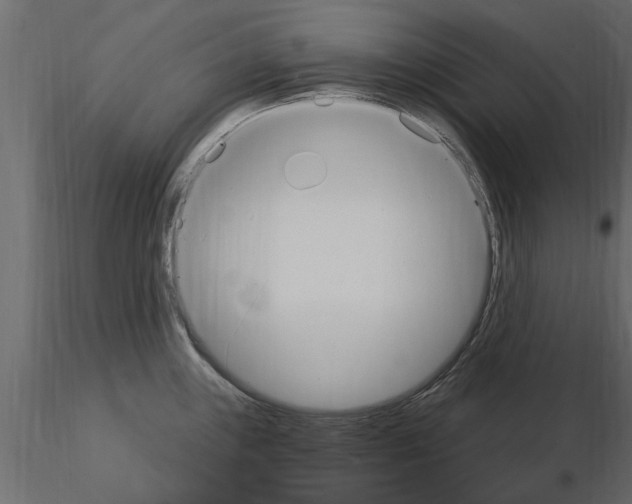 X0000115851243200912242031