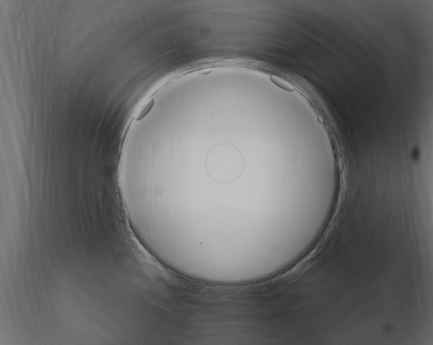 X0000115851244200912242031