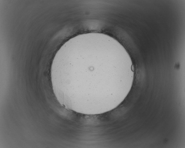 X0000115851249200912242030