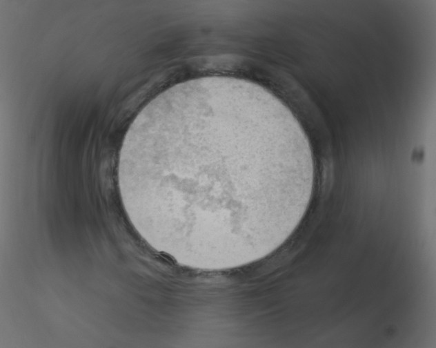 X0000115851250200912242030