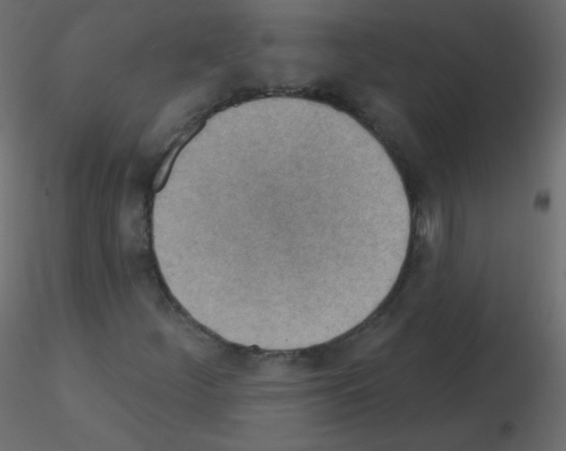 X0000115851252200912242030