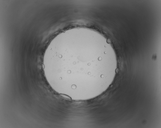 X0000115851253200912242030