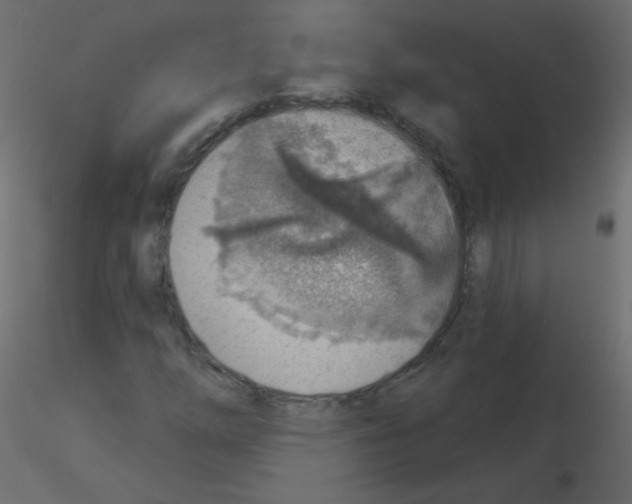 X0000115851254200912242030