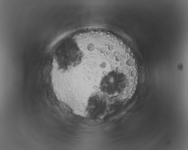X0000115851255200912242030