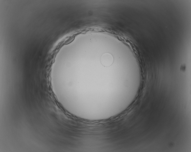 X0000115851256200912242030