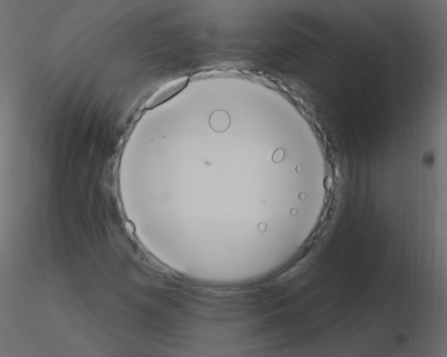 X0000115851257200912242030