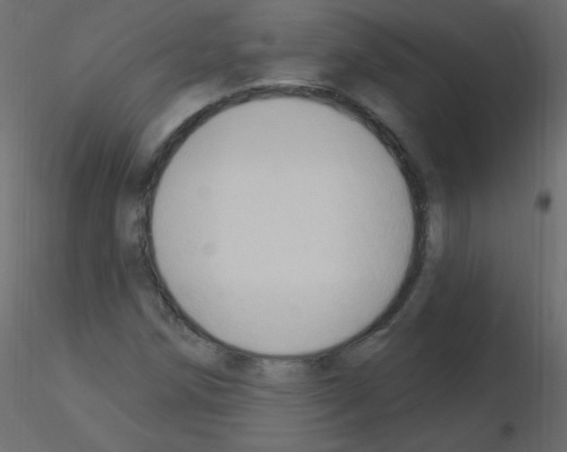X0000115851258200912242030