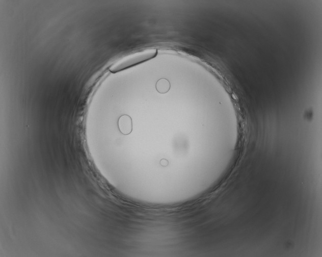 X0000115851260200912242030