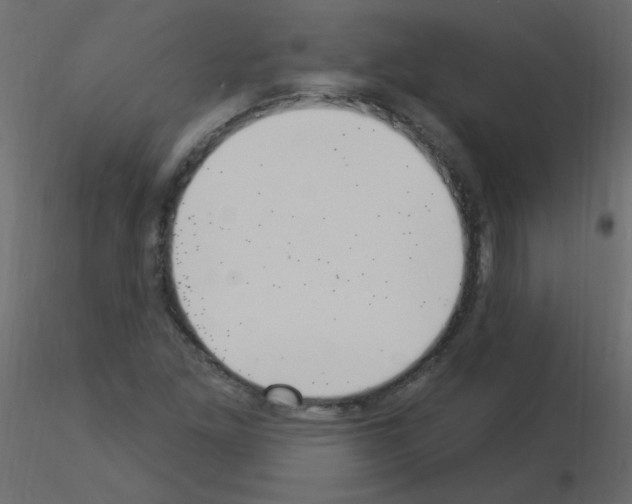 X0000115851261200912242030