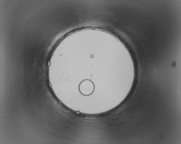 X0000115851264200912242030