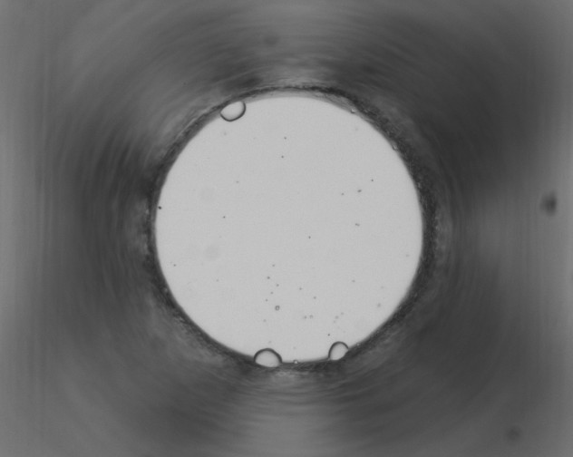 X0000115851265200912242030
