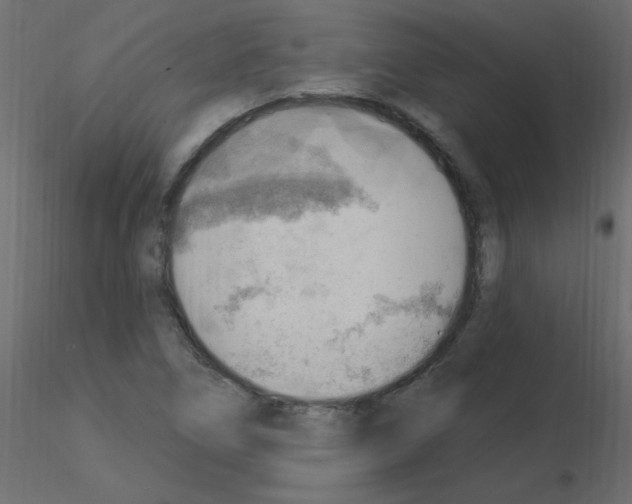 X0000115851266200912242030