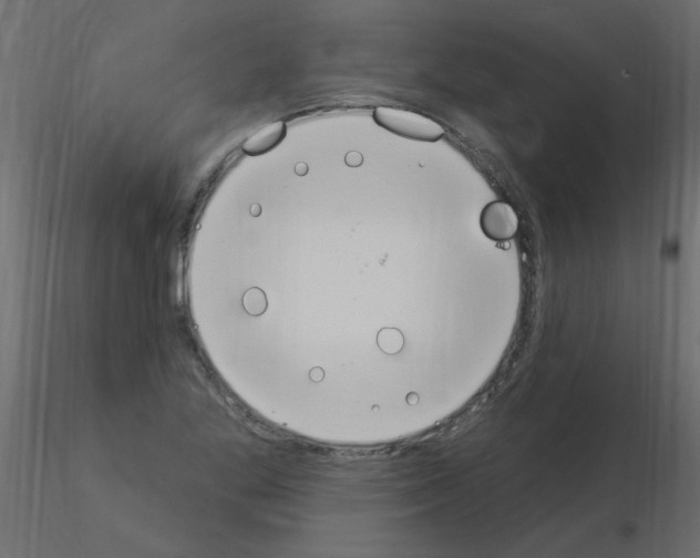 X0000115851269200912242030
