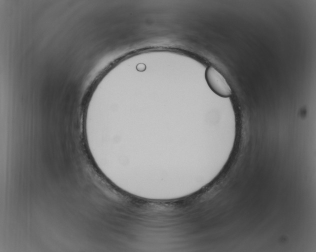 X0000115851270200912242030