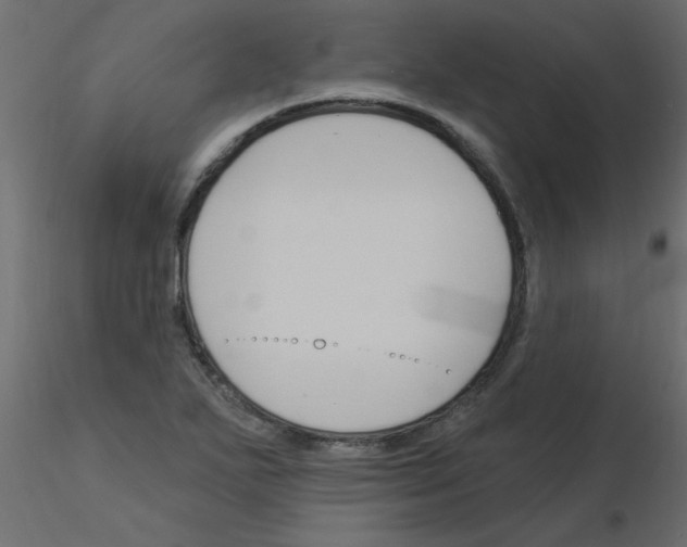 X0000115851271200912242030