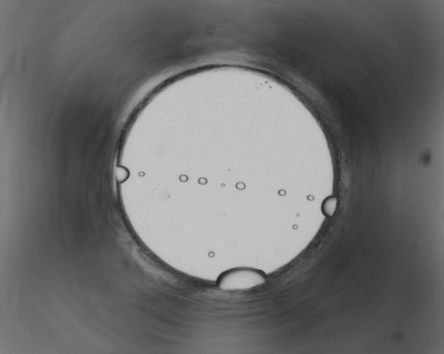 X0000115851272200912242030