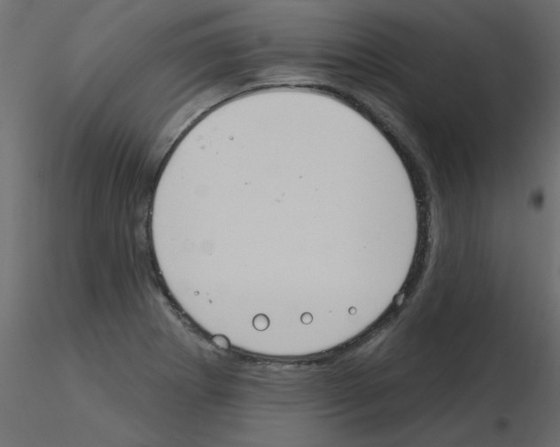 X0000115851273200912242030