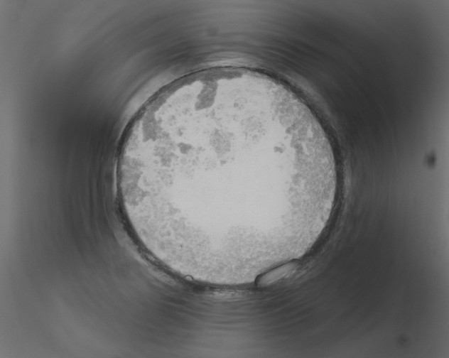 X0000115851274200912242030