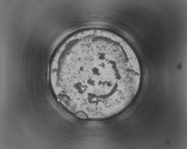 X0000115851275200912242030