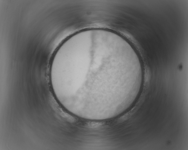 X0000115851278200912242030