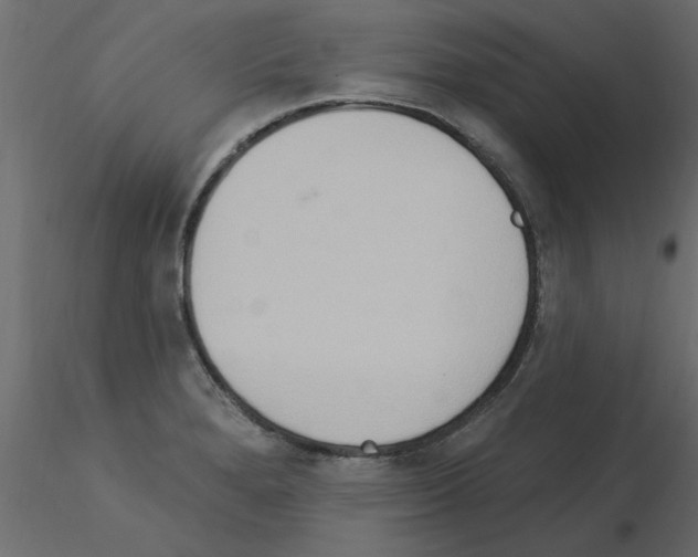 X0000115851280200912242030