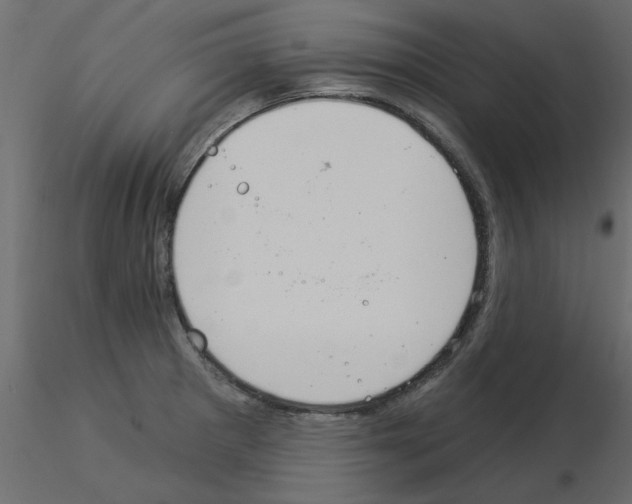 X0000115851281200912242030