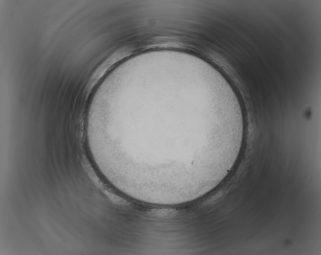 X0000115851282200912242030