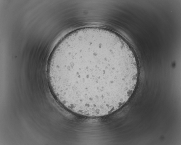 X0000115851283200912242030