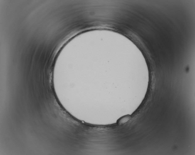 X0000115851284200912242030