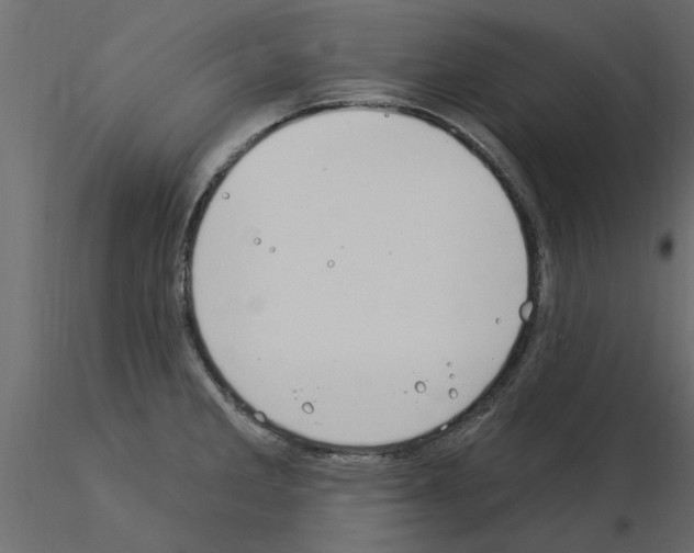 X0000115851285200912242030
