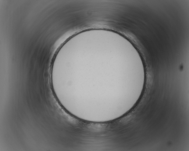 X0000115851286200912242030