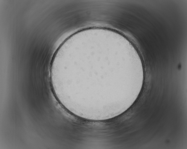 X0000115851287200912242030