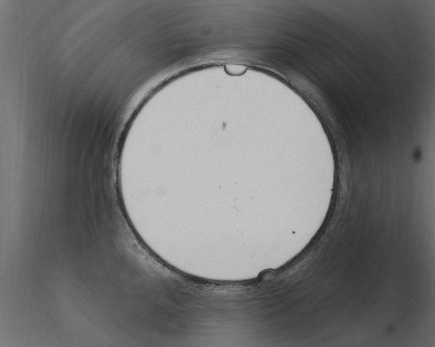 X0000115851288200912242030