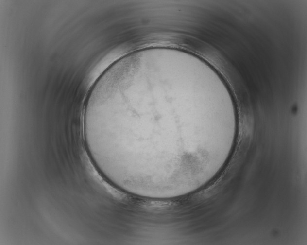 X0000115851290200912242030