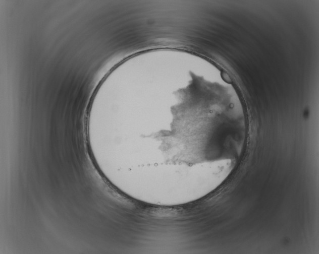 X0000115851291200912242030