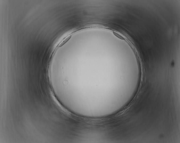 X0000115851293200912242030