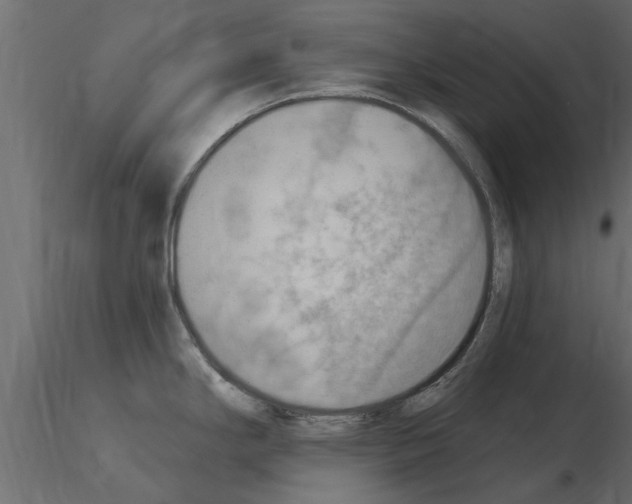 X0000115851294200912242030
