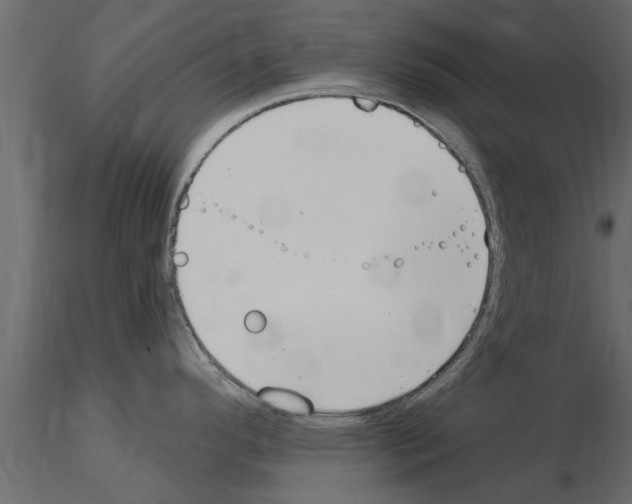 X0000115851296200912242030