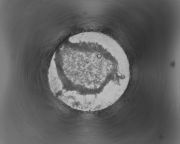 X0000115851297200912242029