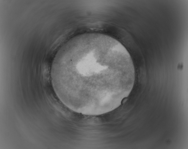X0000115851298200912242029