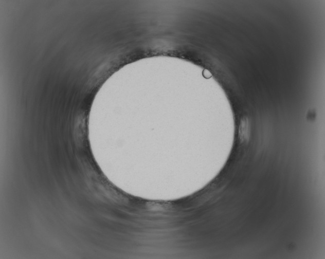 X0000115851299200912242029
